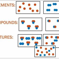 Element compound mixture worksheet answers