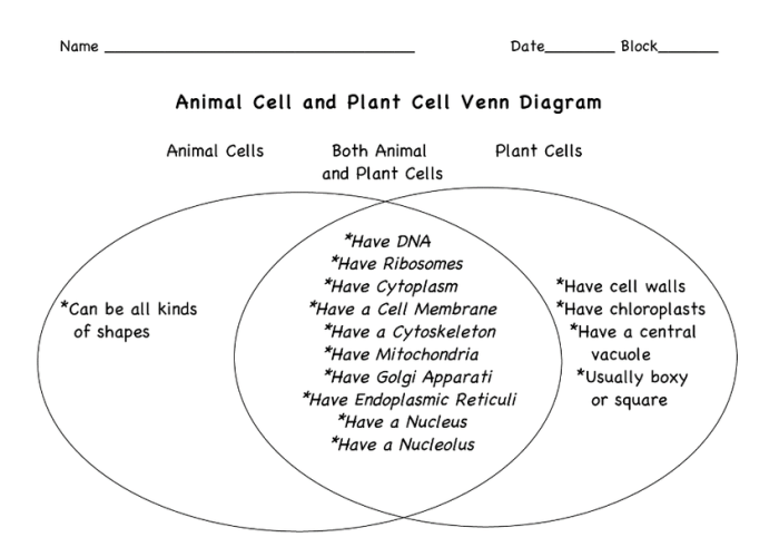 Venn diagram for animal and plant cells