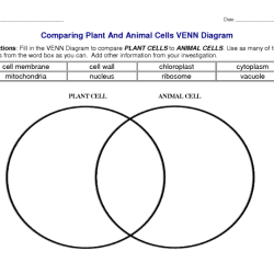 Venn diagram for animal and plant cells