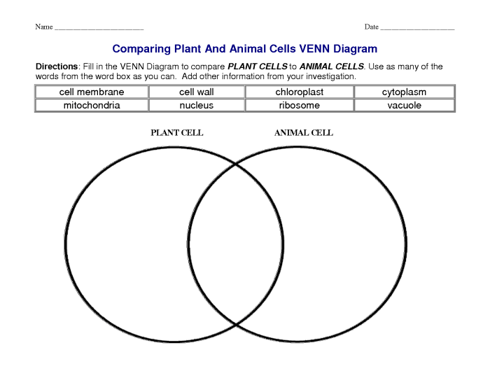 Venn diagram for animal and plant cells