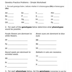 Dna goes to the races answer key