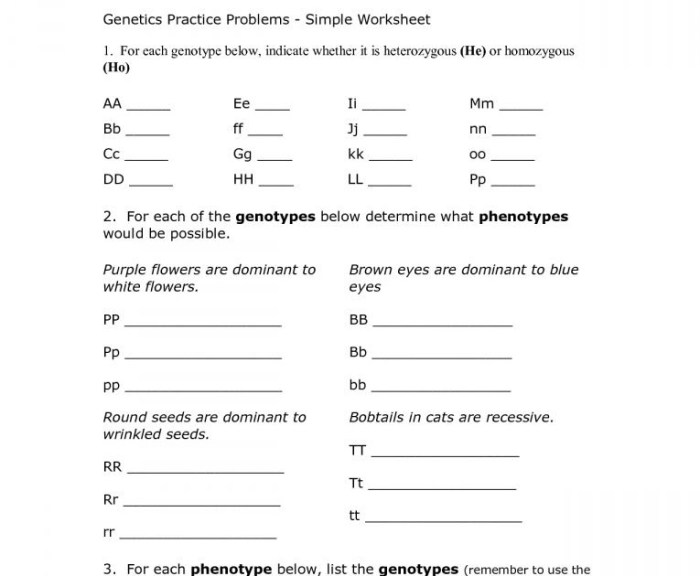 Dna goes to the races answer key