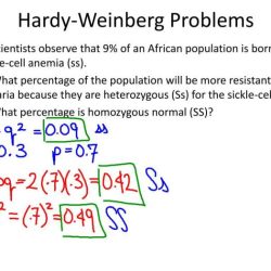 Weinberg hardy