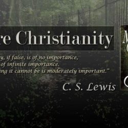 Summary of mere christianity book 2