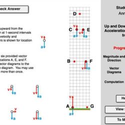 State federal tug of war worksheet answers