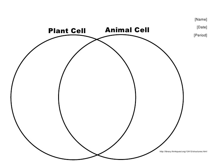 Venn diagram organelles differences