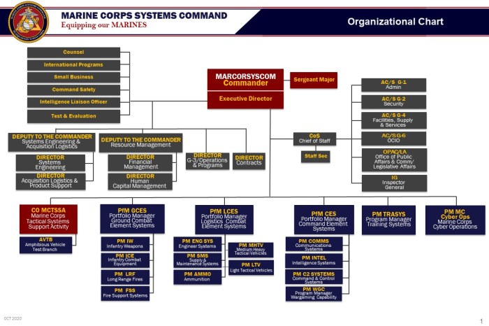 Leading marines command and military organization