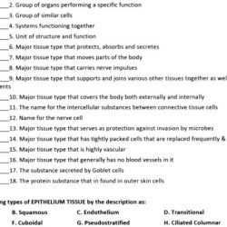 Review sheet exercise 6 classification of tissues answer key