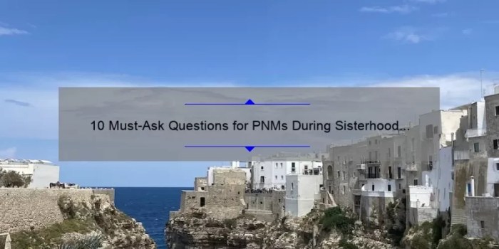 Questions to ask pnms during sisterhood round