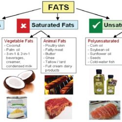 Dietary fats and blood cholesterol levels worksheet answers