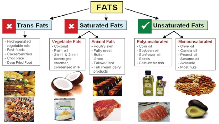 Dietary fats and blood cholesterol levels worksheet answers