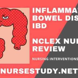 Inflammatory bowel disease hesi case study