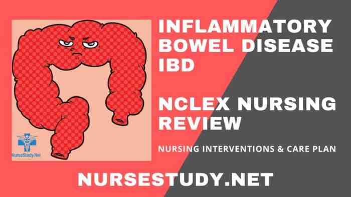 Inflammatory bowel disease hesi case study