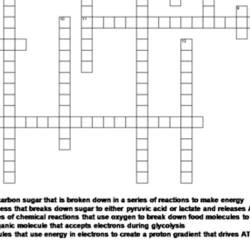 Photosynthesis cellular respiration crossword puzzle