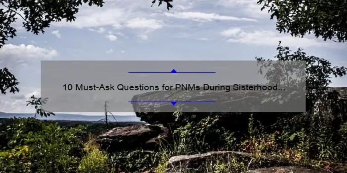 Questions to ask pnms during sisterhood round